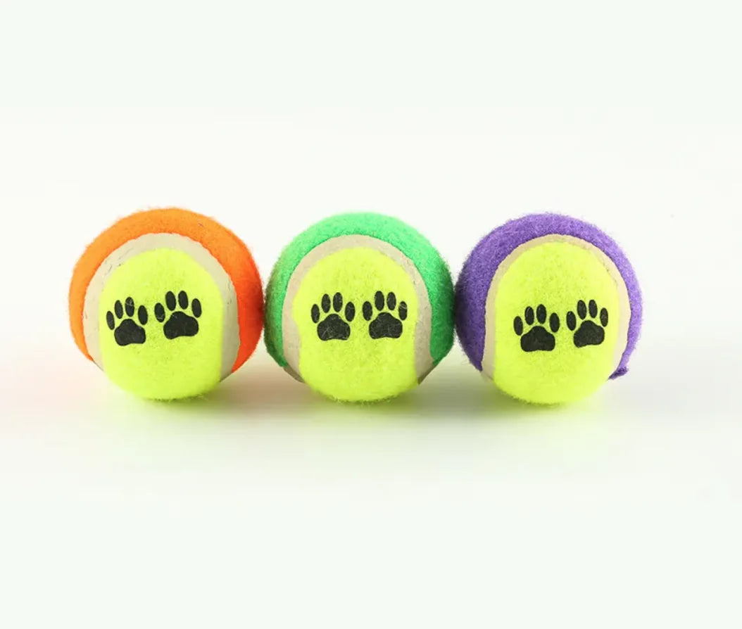 Agility Dog Fetch Toy