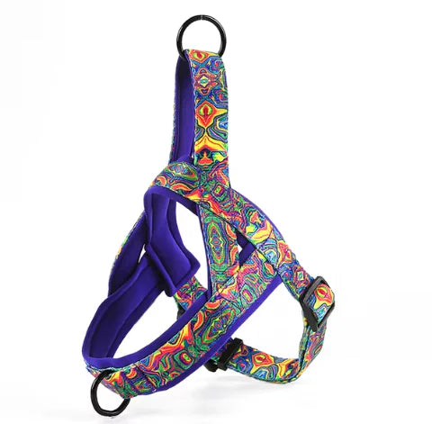 Dog Harness with Leash