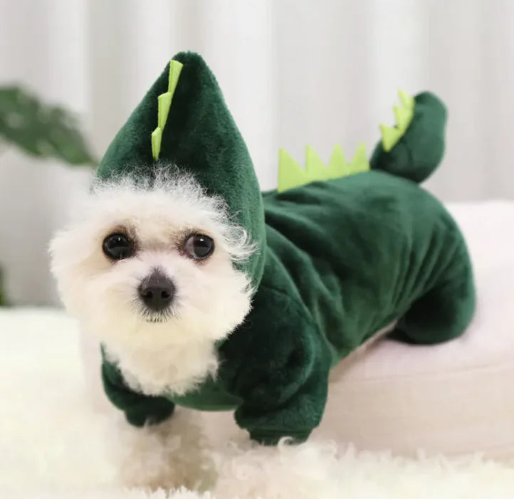 Dino Snuggle Dog Outfit