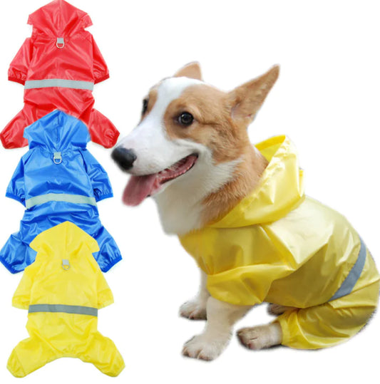 All-Weather Leisure Raincoat