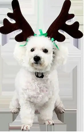 Holiday Pet Headwear Collection