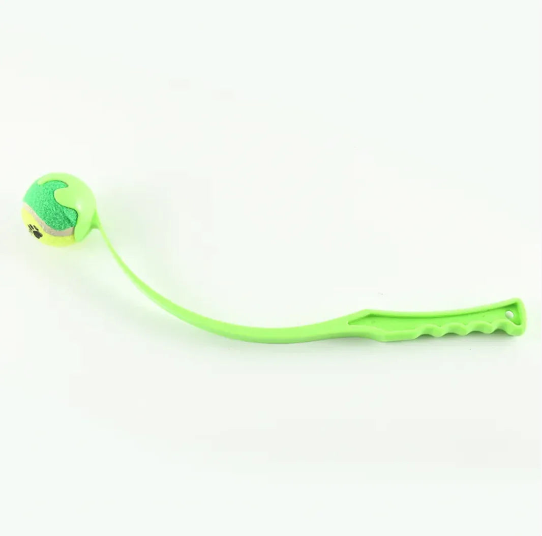 Agility Dog Fetch Toy