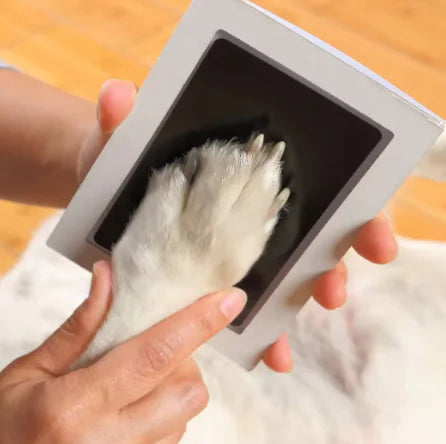 Paw Impress No-Mess Ink Pad