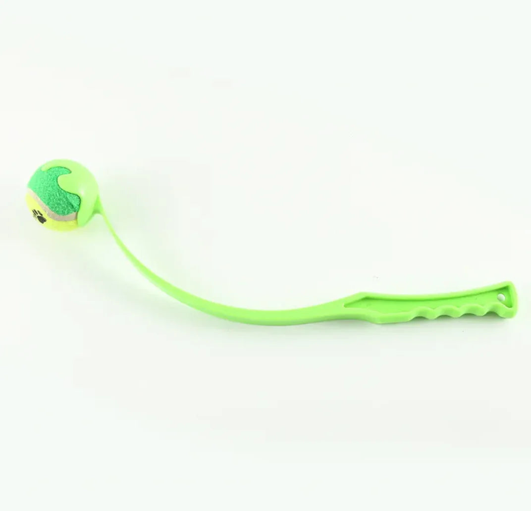 Agility Dog Fetch Toy