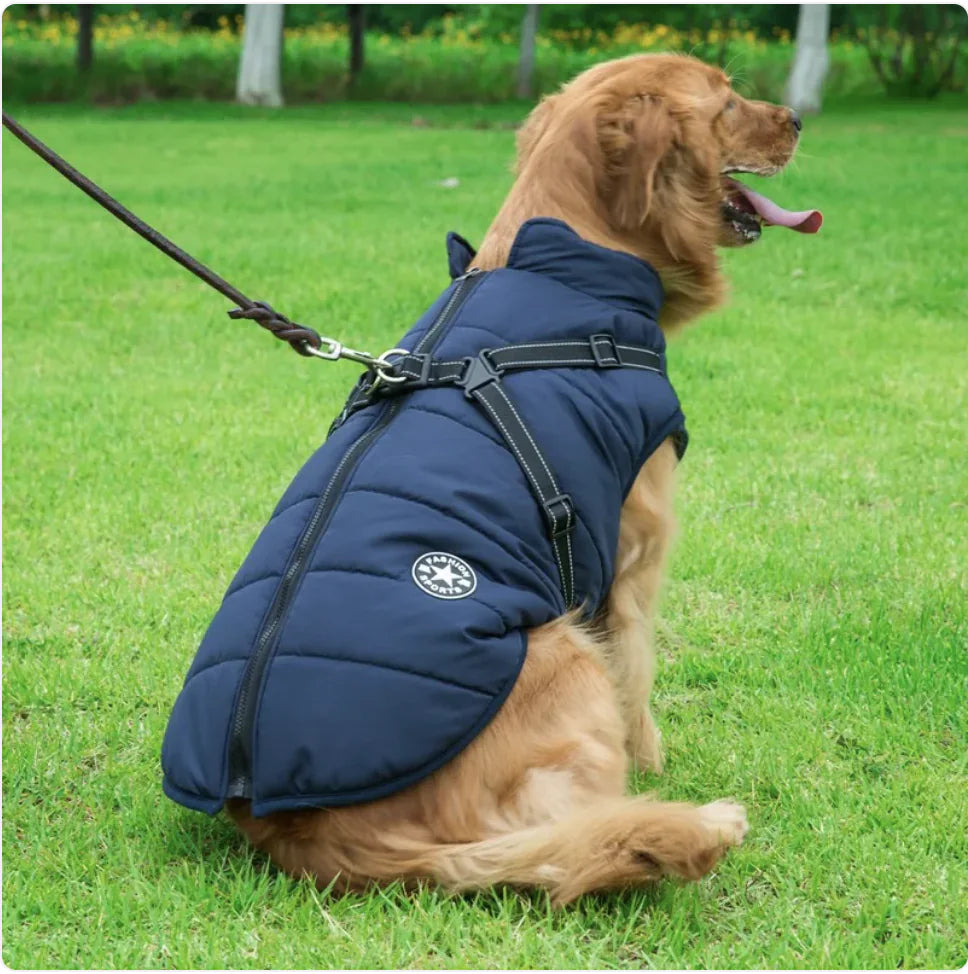 Hi-Vis Waterproof Dog Jacket