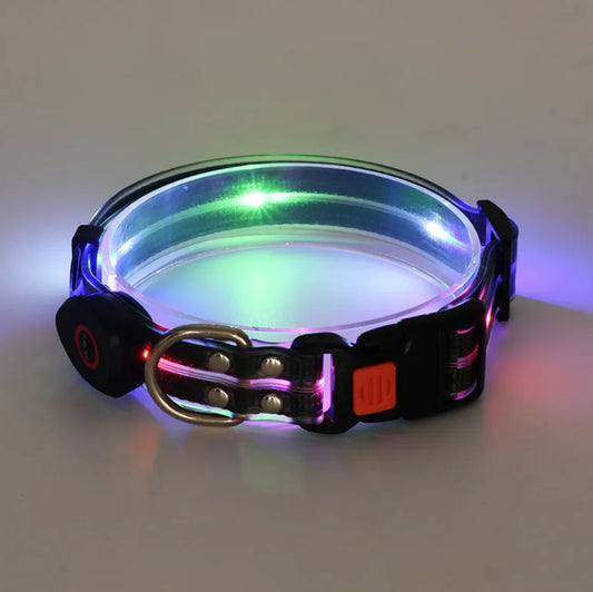 IllumiNylon LED Pet Collar & Leash