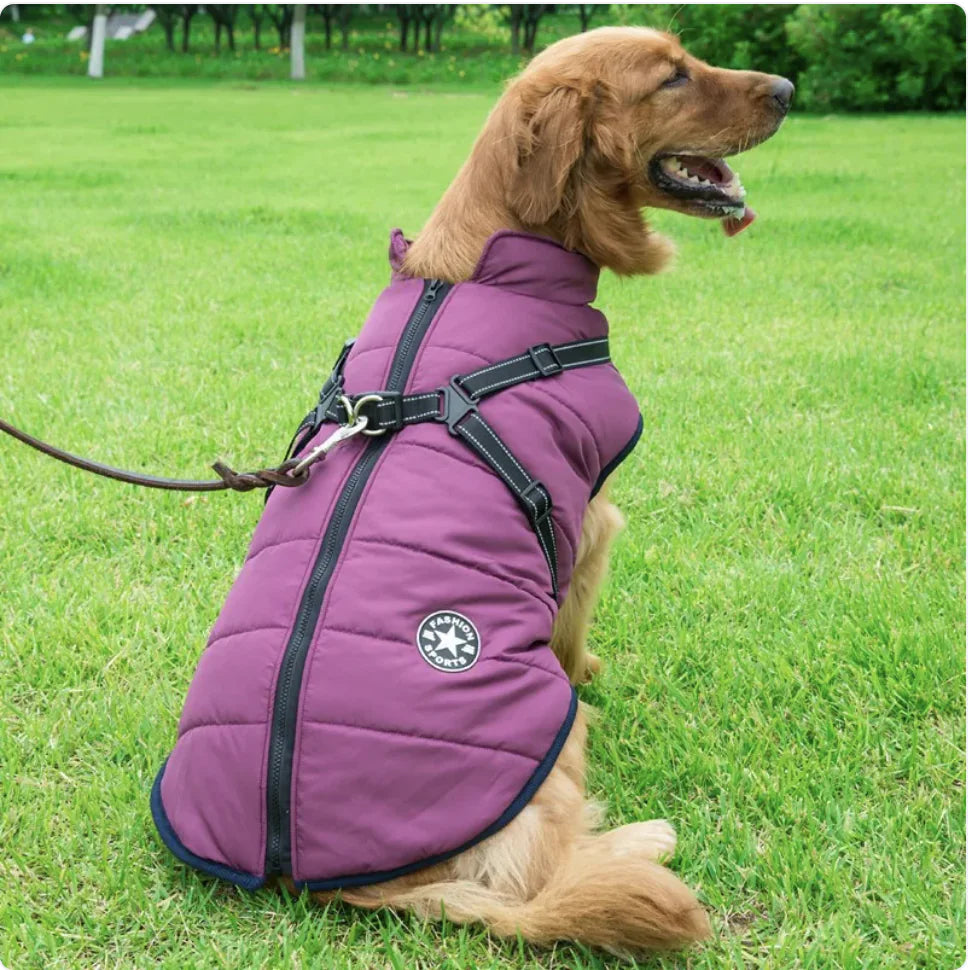 Hi-Vis Waterproof Dog Jacket