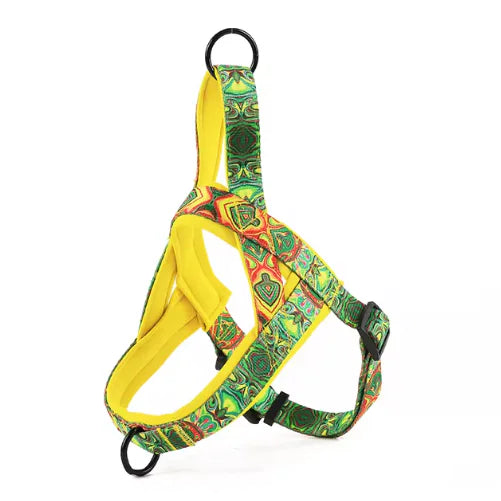 Dog Harness with Leash