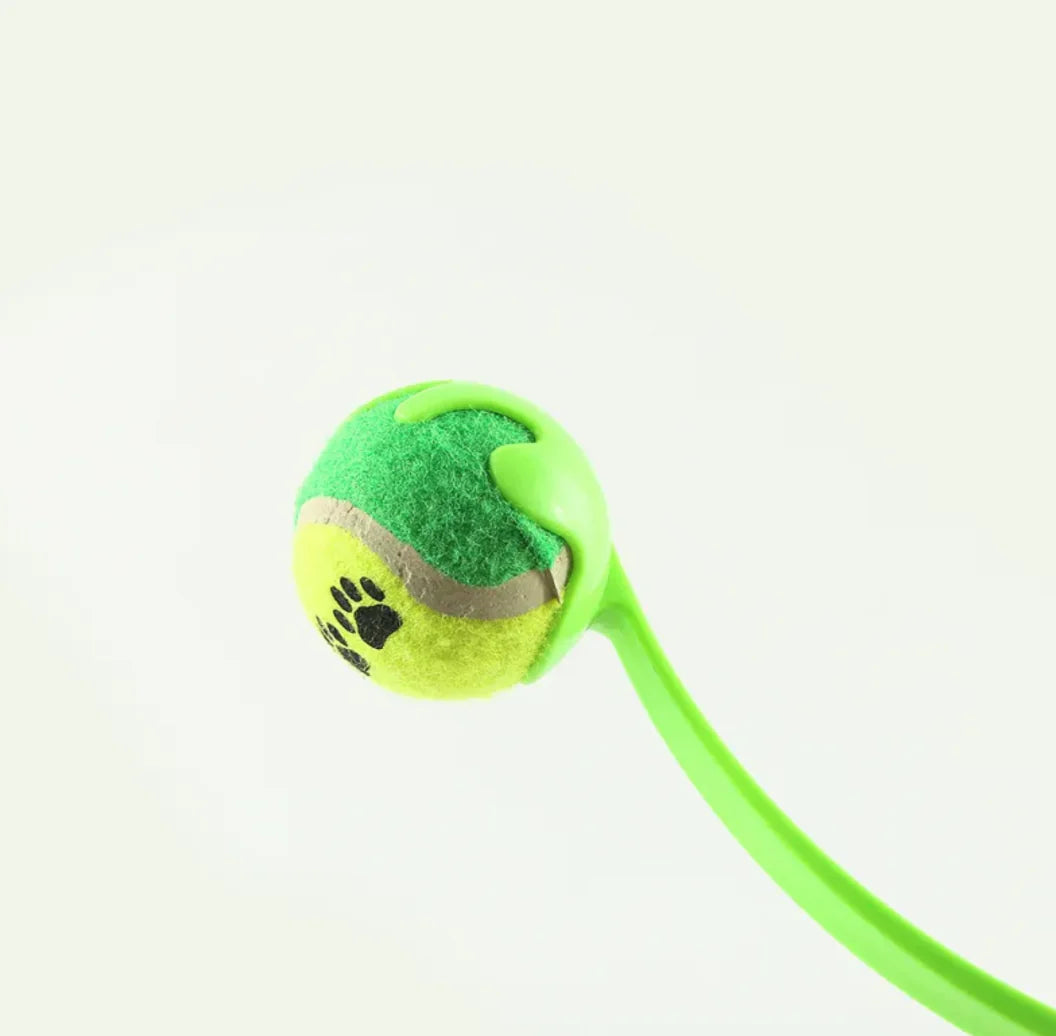 Agility Dog Fetch Toy