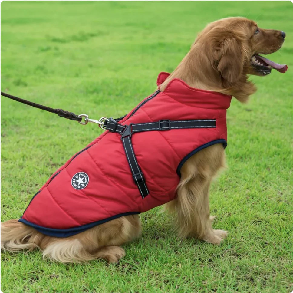 Hi-Vis Waterproof Dog Jacket