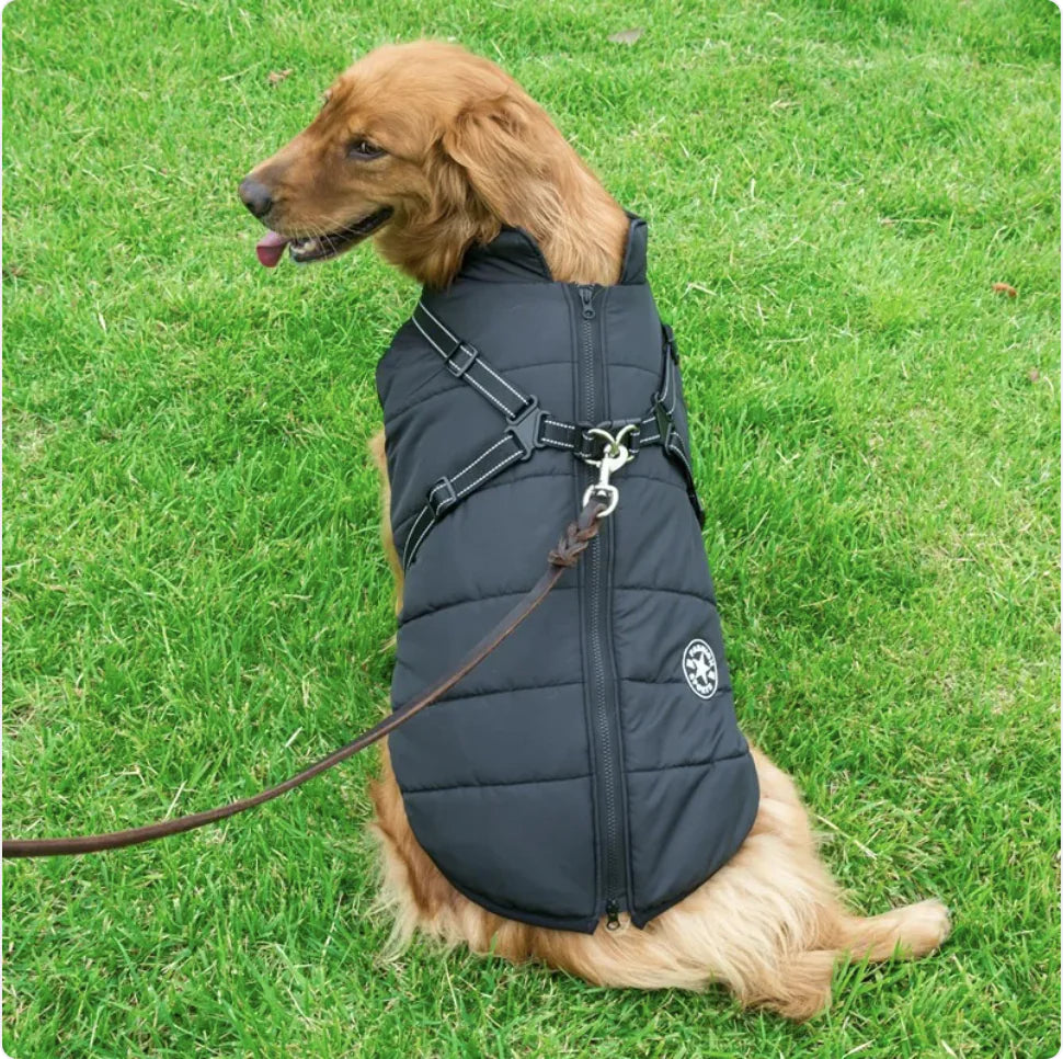 Hi-Vis Waterproof Dog Jacket