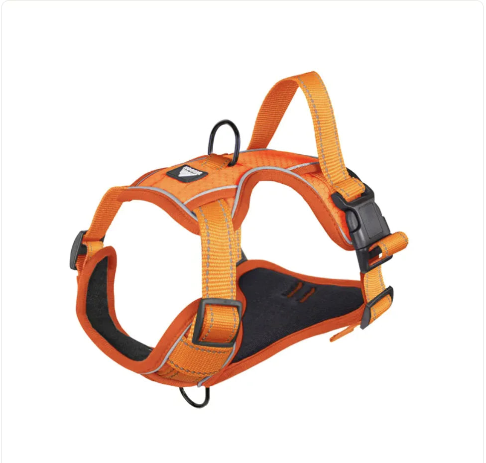 GlowTrack Dog Harness & Leash